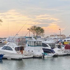 Meet your Posher, Mary